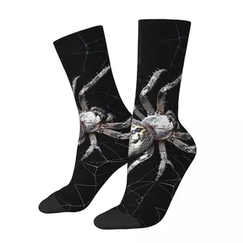 Komik erkek Çorap Büyük Örümcek Örümcek Ağı Üzerinde Vintage Örümcek Web Hayvan Hip Hop Çılgın Ekip Çorap Hediye Desen Baskılı