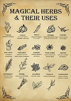Eeypy Büyülü Otlar ve Kullanımları Cadı Posteri Mutfak Cadı Duvar Sanatı Vintage Mutfak Büyücülük Cadılar Sihirli Bilgi Posteri