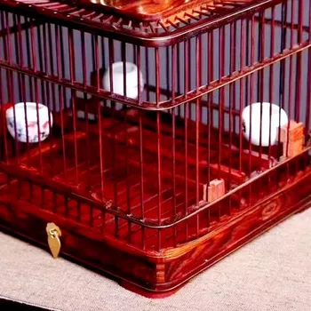 Hamster Yetiştiriciliği Kuş Kafesleri Taşıma Evi Besleyici Küçük Kuş Kafesleri Kedi Bıldırcın Lovebird Jaula Accesorios Kuş Evi Bahçe