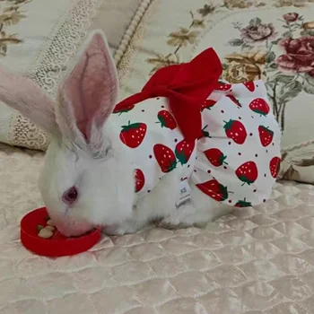 Sevimli Baskı Tavşan Giysileri Yaz Pet Elbiseler için Yay ile Kediler Tavşanlar Küçük Hayvanlar Giyim Kıyafet Tavşan Elbise Pet Malzemeleri