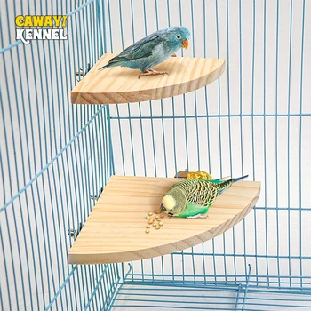 Yelpaze şeklinde Kuş Papağan Ahşap Standı Raf Kuş Kafesi Aksesuarları Levrek Küçük Hayvan Chinchilla Sincap Hamster Standı Kurulu