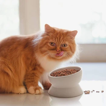 Yükseltilmiş Kediler yiyecek kasesi, su kasesi Eğimli Seramik Kediler su kasesi Bıyık Dostu Kapalı Kedi, Bulaşık Makinesinde Yıkanabilir
