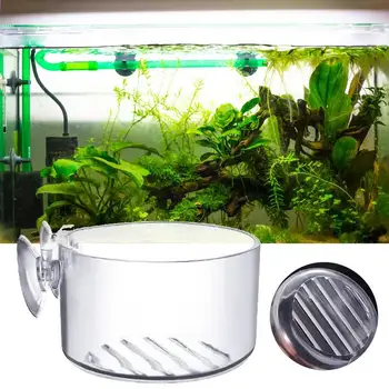 Akrilik Bitki Fincan Su Quarium Besleme Fincan Zarif Görünür Asılı Cam Kristal Besleme Pot Su Balık Tankı Tuzlu Su için