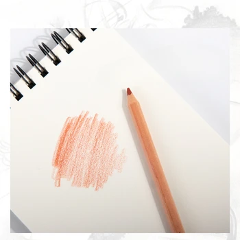 Ten Rengi 12 Renk Pembe Kafa Portre Kalem Tozu Boyama renkli kurşun kalem Doğal İpek Pürüzsüz Sanat Malzemeleri Kömür Kalemler